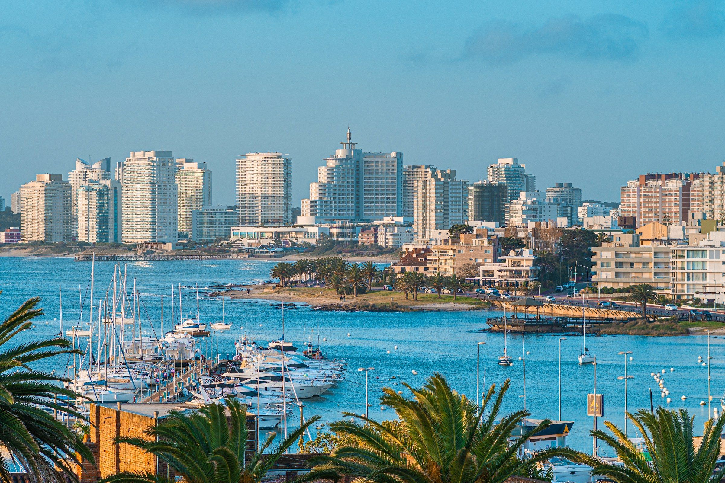 Punta del Este harbour with sailboats and towers