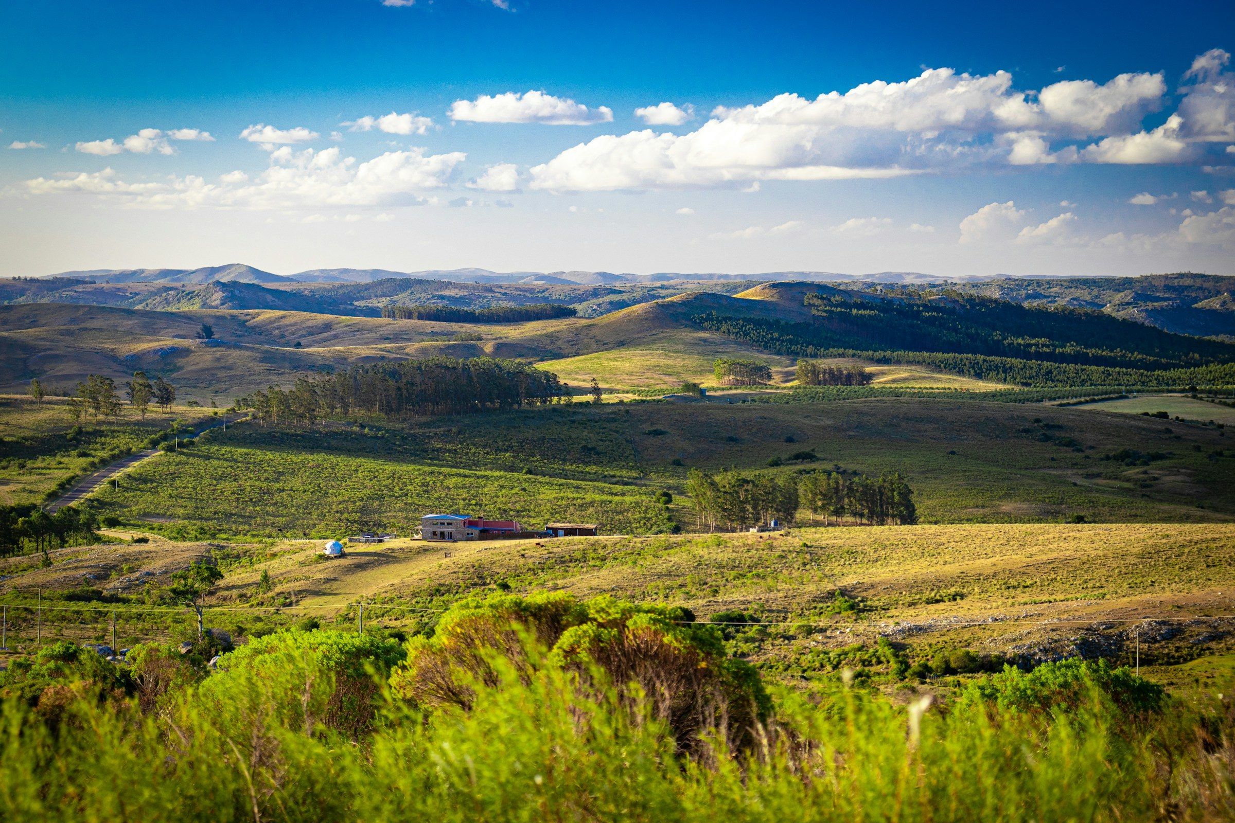 Rolling green hills in Uruguay
